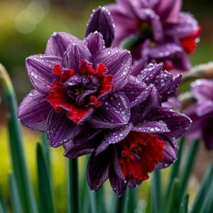 Нарцисс Минт Флер купить по цене от 2000р. в интернет-магазине «Посадика» с доставкой почтой в в Киселевске и по всей России – [изображение №1].