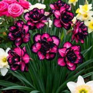 Нарцисс Золотая Корона купить по цене от 2000р. в интернет-магазине «Посадика» с доставкой почтой в в Киселевске и по всей России – [изображение №1].